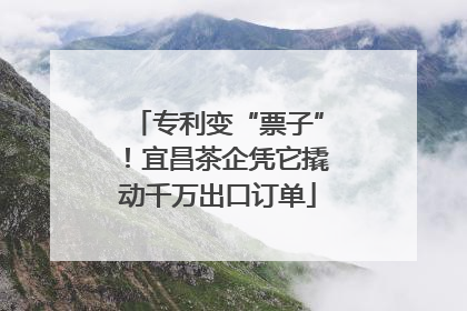 专利变“票子”！宜昌茶企凭它撬动千万出口订单