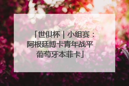 世俱杯｜小组赛：阿根廷博卡青年战平葡萄牙本菲卡