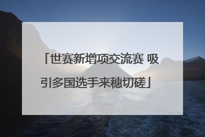 世赛新增项交流赛 吸引多国选手来穗切磋