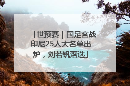 世预赛｜国足客战印尼25人大名单出炉，刘若钒落选