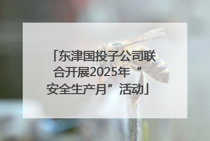东津国投子公司联合开展2025年“安全生产月”活动