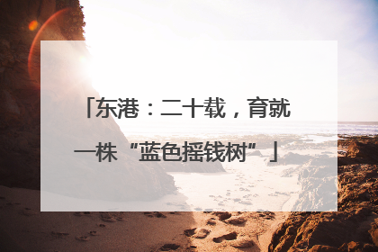 东港：二十载，育就一株“蓝色摇钱树”