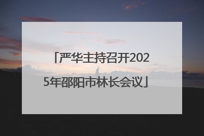 严华主持召开2025年邵阳市林长会议