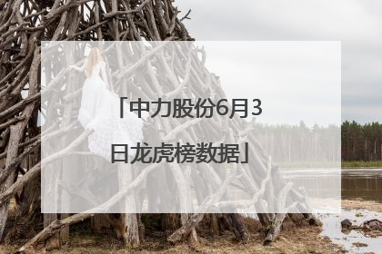 中力股份6月3日龙虎榜数据