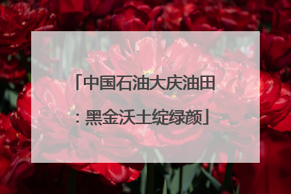 中国石油大庆油田：黑金沃土绽绿颜