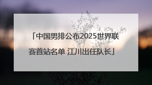 中国男排公布2025世界联赛首站名单 江川出任队长