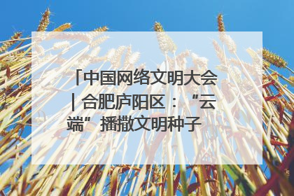 中国网络文明大会｜合肥庐阳区：“云端”播撒文明种子 共建清朗网络空间
