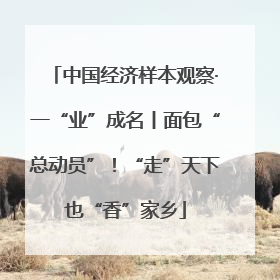 中国经济样本观察·一“业”成名丨面包“总动员”！“走”天下也“香”家乡