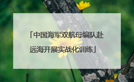 中国海军双航母编队赴远海开展实战化训练
