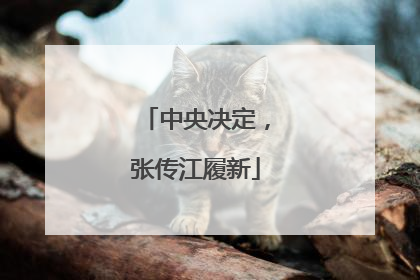 中央决定，张传江履新