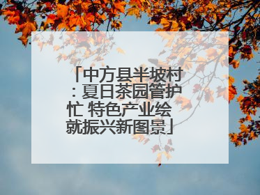 中方县半坡村：夏日茶园管护忙 特色产业绘就振兴新图景