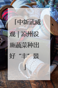 中新武威观｜凉州设施蔬菜种出好“丰”景