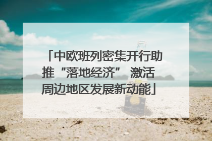 中欧班列密集开行助推“落地经济” 激活周边地区发展新动能