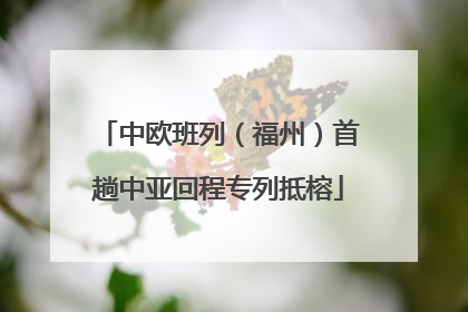 中欧班列（福州）首趟中亚回程专列抵榕