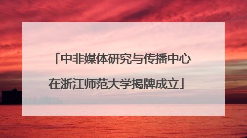 中非媒体研究与传播中心在浙江师范大学揭牌成立