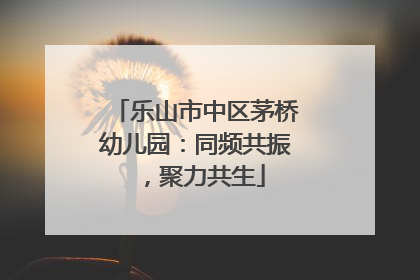 乐山市中区茅桥幼儿园：同频共振，聚力共生