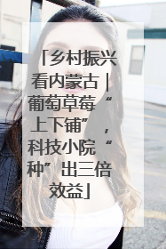 乡村振兴看内蒙古｜葡萄草莓“上下铺”，科技小院“种”出三倍效益