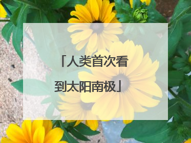 人类首次看到太阳南极