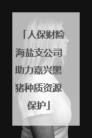 人保财险海盐支公司助力嘉兴黑猪种质资源保护