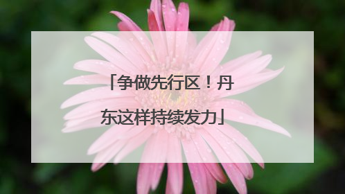 争做先行区！丹东这样持续发力