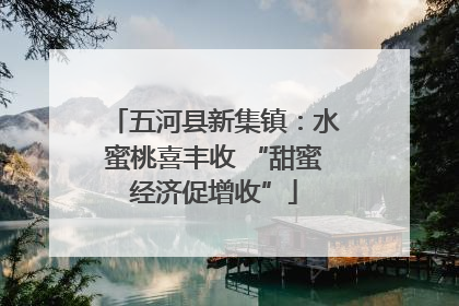 五河县新集镇：水蜜桃喜丰收 “甜蜜经济促增收”