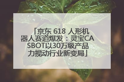 京东 618 人形机器人赛道爆发：灵宝CASBOT以30万级产品力搅动行业新变局