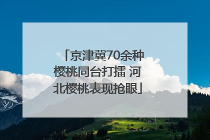 京津冀70余种樱桃同台打擂 河北樱桃表现抢眼