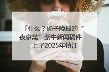 什么？扬子晚报的“夜京畿”紫牛新闻稿件，上了2025年镇江中考模拟卷！