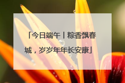 今日端午丨粽香飘春城，岁岁年年长安康