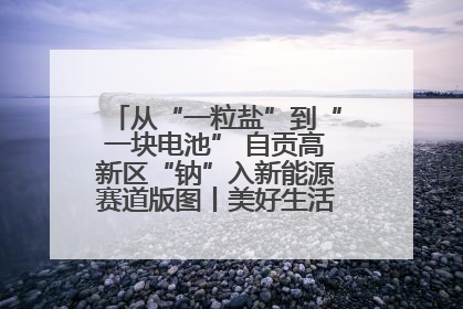 从“一粒盐”到“一块电池” 自贡高新区“钠”入新能源赛道版图丨美好生活有“盐”味
