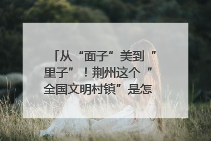 从“面子”美到“里子”！荆州这个“全国文明村镇”是怎样炼成的？