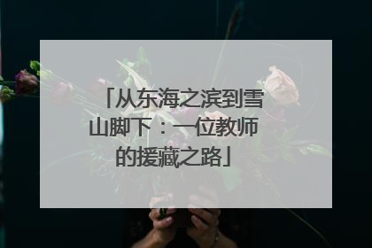 从东海之滨到雪山脚下：一位教师的援藏之路