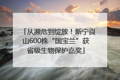从濒危到绽放！新宁崀山600株“国宝兰”获省级生物保护嘉奖