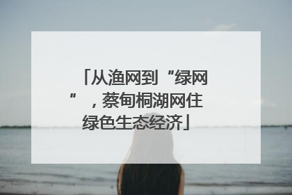 从渔网到“绿网”，蔡甸桐湖网住绿色生态经济