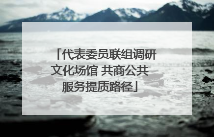 代表委员联组调研文化场馆 共商公共服务提质路径