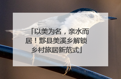 以美为名，亲水而居！黟县美溪乡解锁乡村旅居新范式