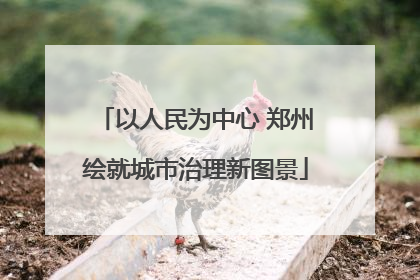 以人民为中心 郑州绘就城市治理新图景