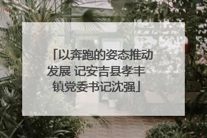 以奔跑的姿态推动发展 记安吉县孝丰镇党委书记沈强