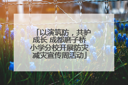 以演筑防，共护成长 成都磨子桥小学分校开展防灾减灾宣传周活动