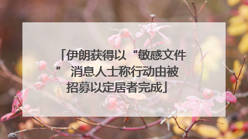 伊朗获得以“敏感文件” 消息人士称行动由被招募以定居者完成