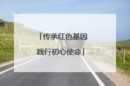 传承红色基因 践行初心使命