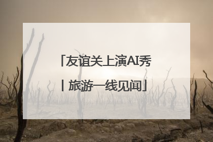 友谊关上演AI秀丨旅游一线见闻