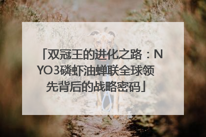 双冠王的进化之路：NYO3磷虾油蝉联全球领先背后的战略密码