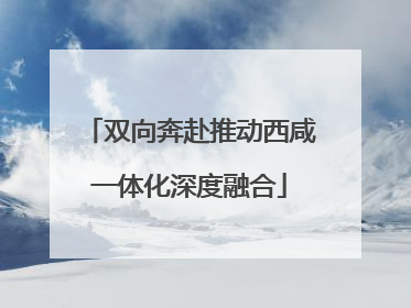 双向奔赴推动西咸一体化深度融合
