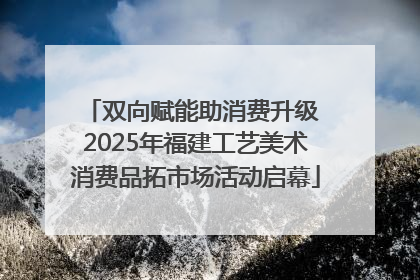 双向赋能助消费升级 2025年福建工艺美术消费品拓市场活动启幕
