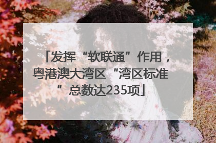 发挥“软联通”作用，粤港澳大湾区“湾区标准”总数达235项