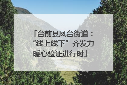 台前县凤台街道：“线上线下”齐发力 暖心验证进行时