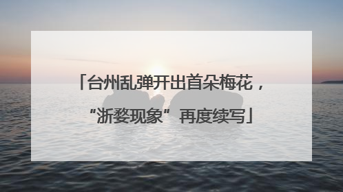 台州乱弹开出首朵梅花，“浙婺现象”再度续写