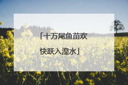 十万尾鱼苗欢快跃入湟水