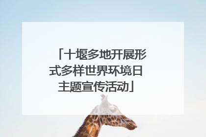 十堰多地开展形式多样世界环境日主题宣传活动